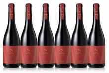 Load image into Gallery viewer, QPA Prova No. 7 Materia Tinto 2022 | 6 Bottles