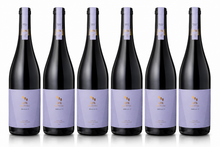 Load image into Gallery viewer, QPA Prova No. 9 Tinto Cao & Touriga Nacional 2023 | 6 Bottles