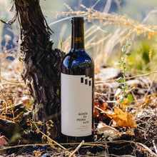 Load image into Gallery viewer, Pedra a Pedra Tinto 2020 | 6 Bottles