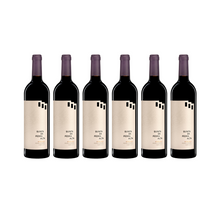 Load image into Gallery viewer, Pedra a Pedra Tinto 2020 | 6 Bottles