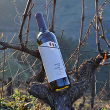 Load image into Gallery viewer, Pedra a Pedra Branco 2023 | 6 Bottles