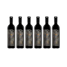 Load image into Gallery viewer, Alto Tinto 2020 | 6 Bottles