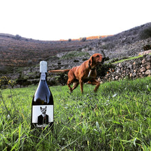 Load image into Gallery viewer, Bardino Tinto 2017