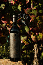 Load image into Gallery viewer, Alto Tinto 2020 | 6 Bottles