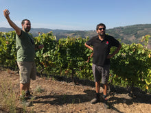 Load image into Gallery viewer, QPA Prova No. 2 2015