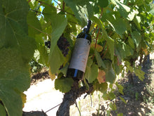 Load image into Gallery viewer, Reserva Tinto 2020 | 6 Bottles