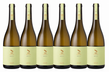Load image into Gallery viewer, QPA Prova No. 8 Prima Branco 2023 | 6 Bottles
