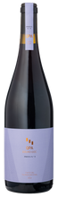 Load image into Gallery viewer, QPA Prova No. 9 Tinto Cao &amp; Touriga Nacional 2023 | 6 Bottles
