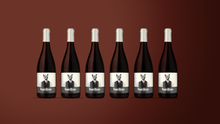 Load image into Gallery viewer, Bardino Tinto 2017 | 6 Bottles
